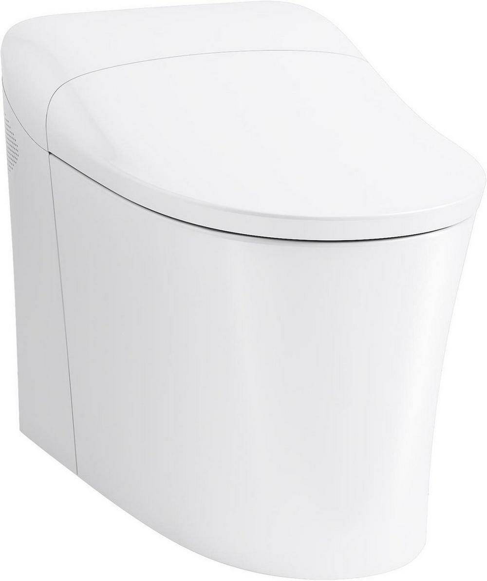 0.8 Gpf/1.0 Gpf Elongated Dual Flush One Piece Toilet In White Residential Toilets White